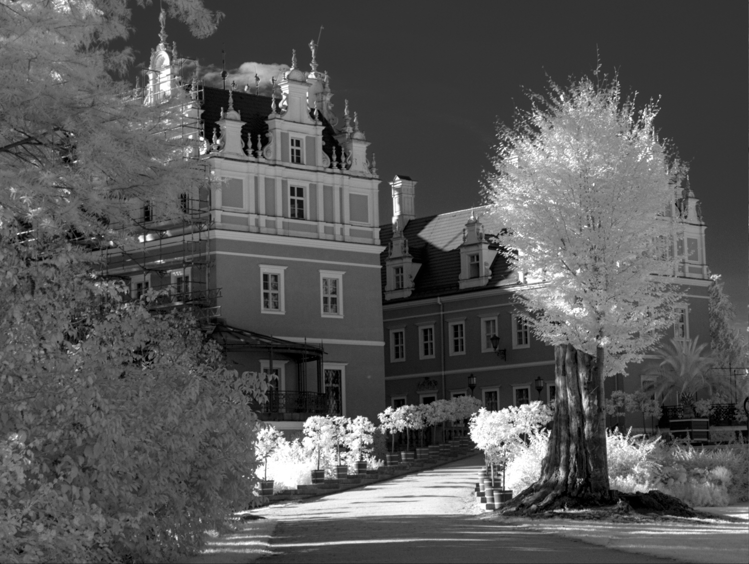 Schloss im Fürst-Pückler-Park