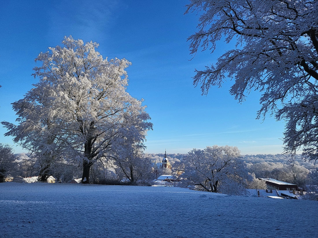 Winterstimmung Im Bergpark Bad Muskau