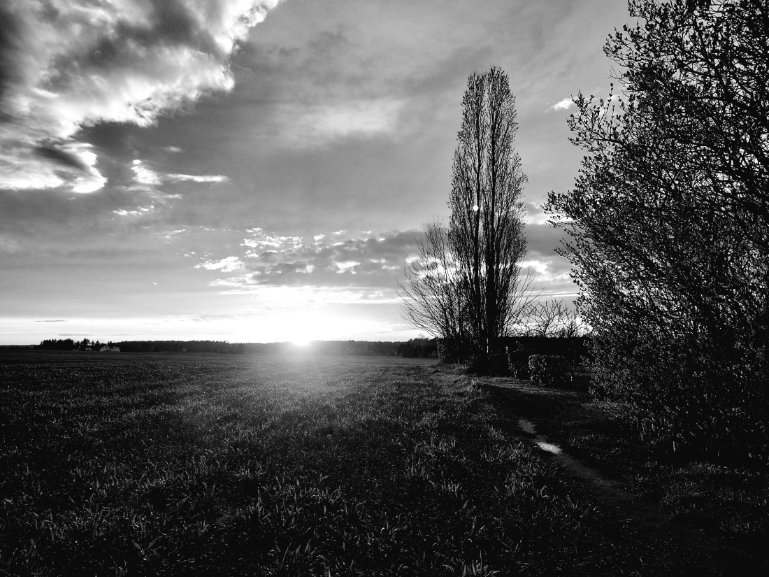 Sonnenutergang am Stadtrand von Bad Muskau